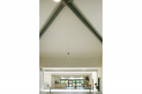 Signal - 05 Hall